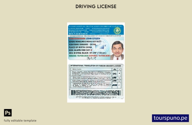 listo para imprimir Traducción internacional de plantilla de licencia de conduci